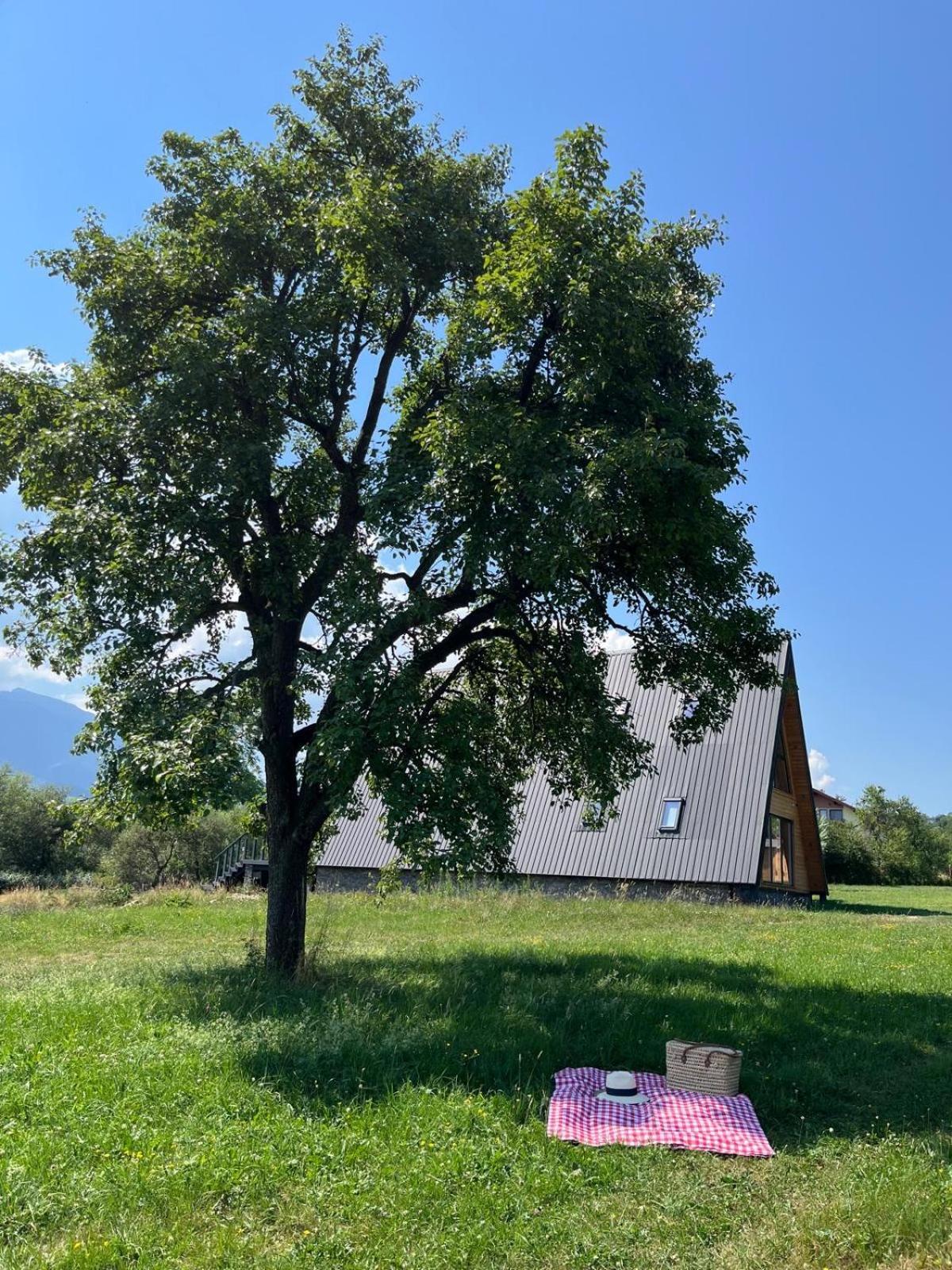 Vino Chalets Bran Sohodol  Dış mekan fotoğraf
