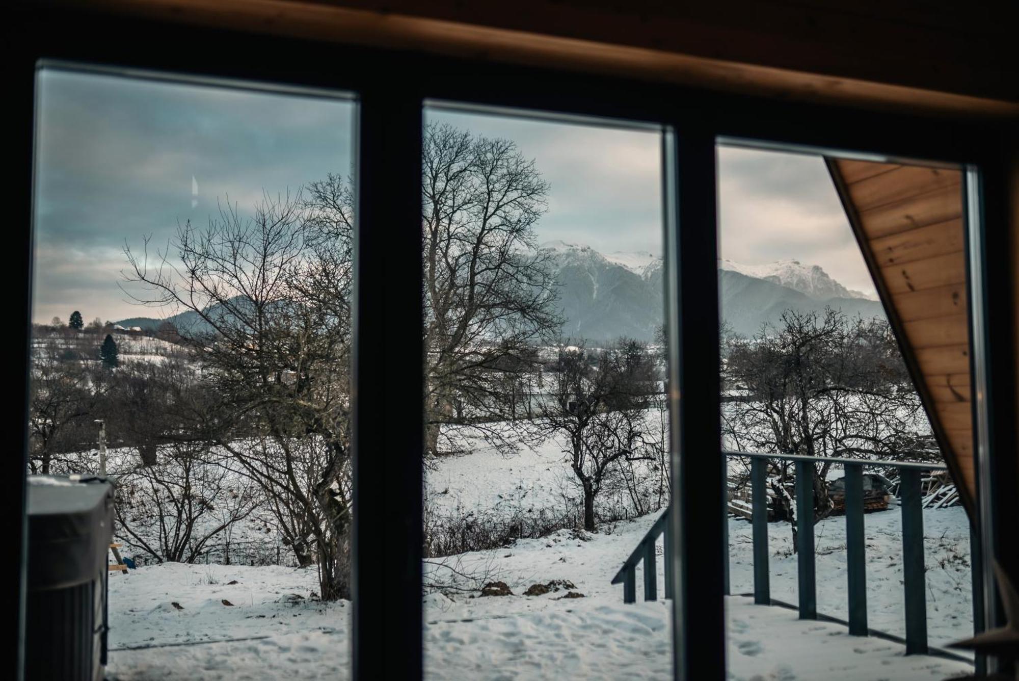 Vino Chalets Bran Sohodol  Dış mekan fotoğraf