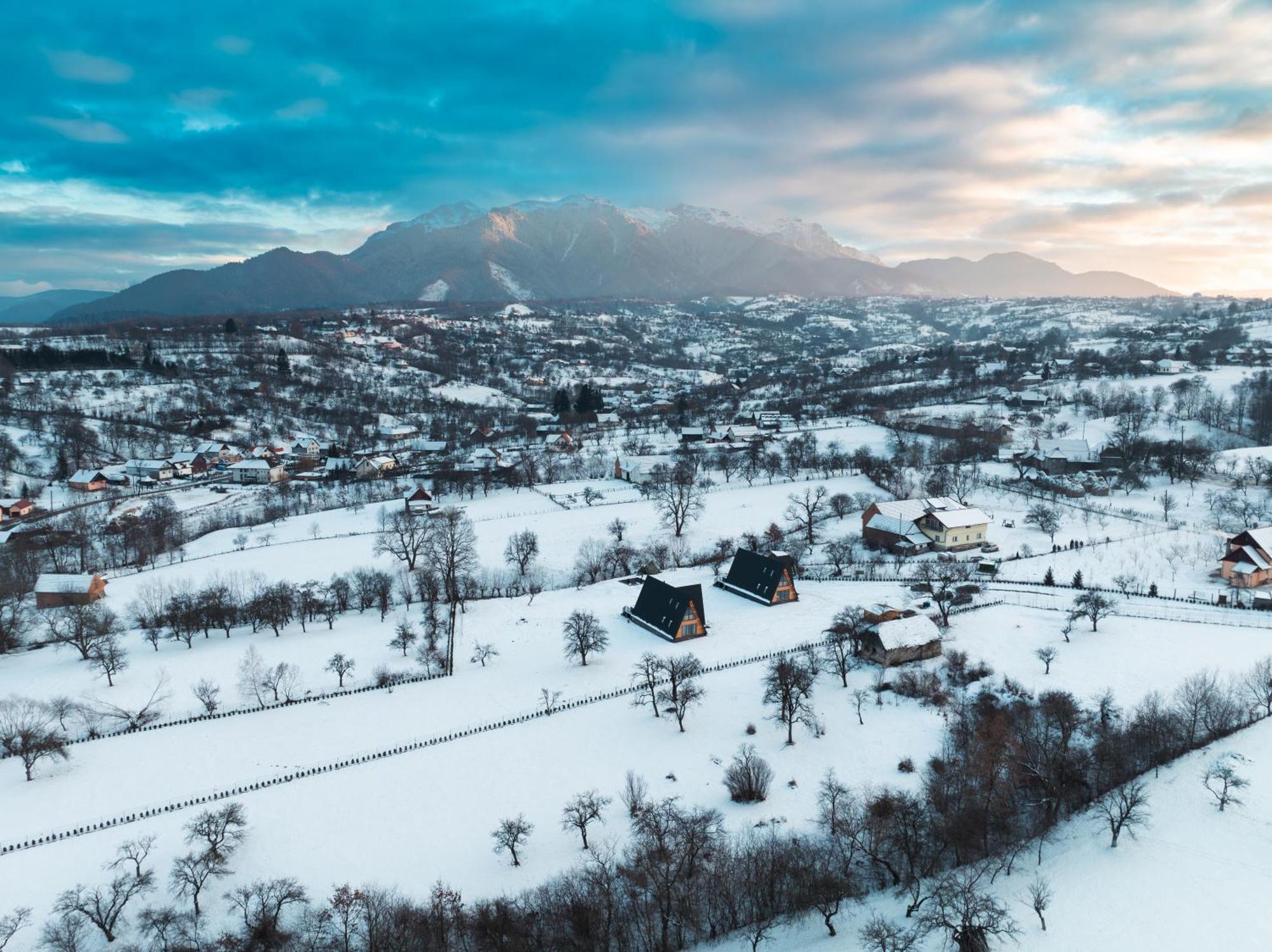 Vino Chalets Bran Sohodol  Dış mekan fotoğraf